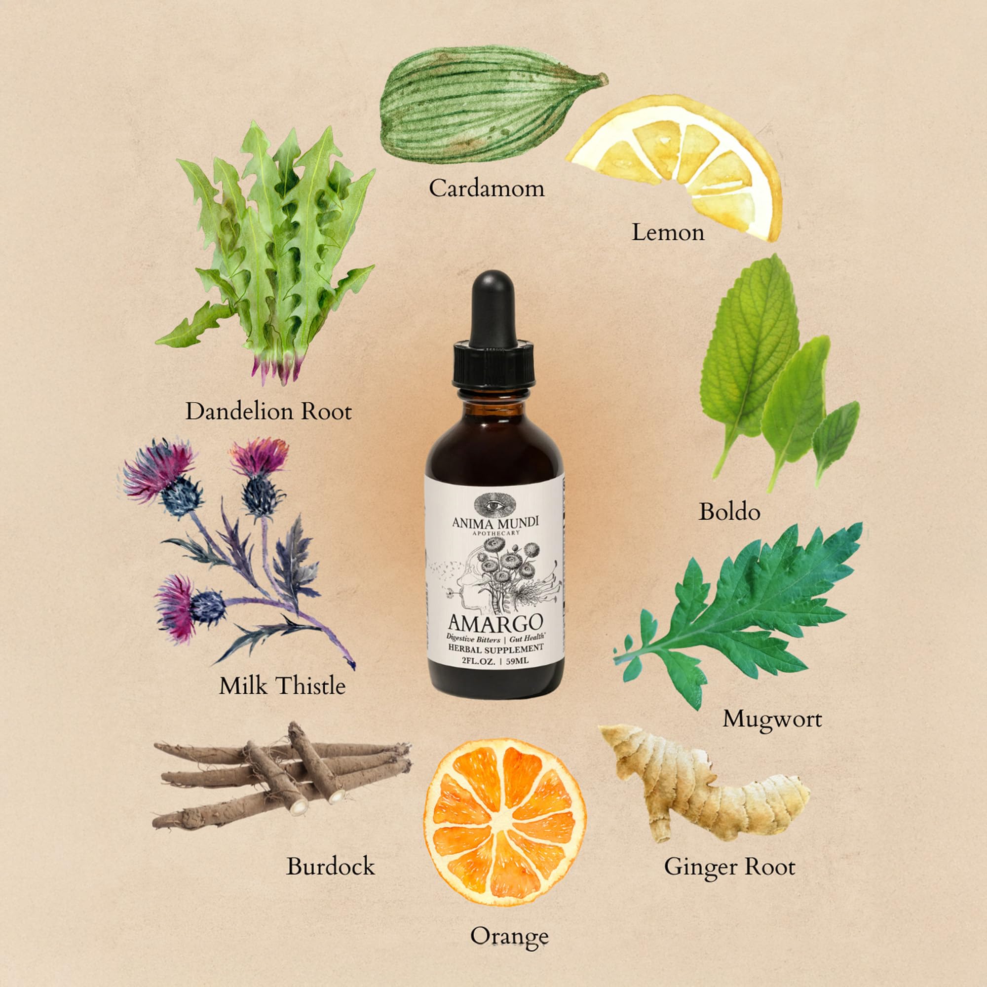 Close-up of Amargo Digestive Bitters ingredients with rainforest herbs and botanicals.