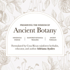 Anima Mundi Golden Moon Milk cup with steam for a soothing nightly ritual.