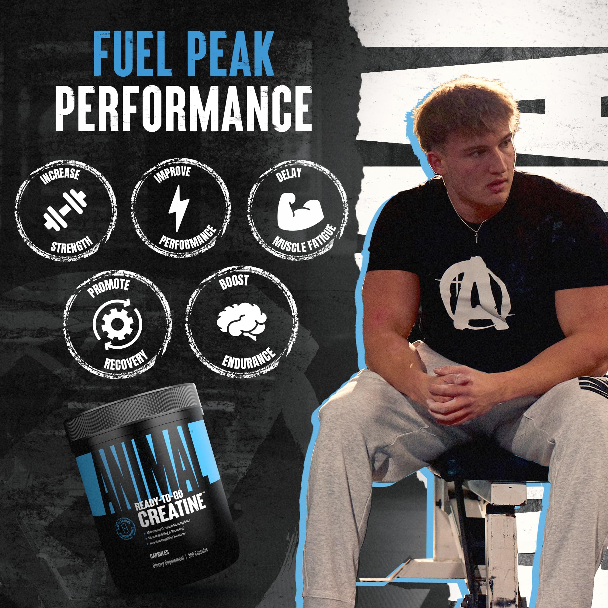 Daily routine with Animal Creatine capsules boosts endurance and recovery
