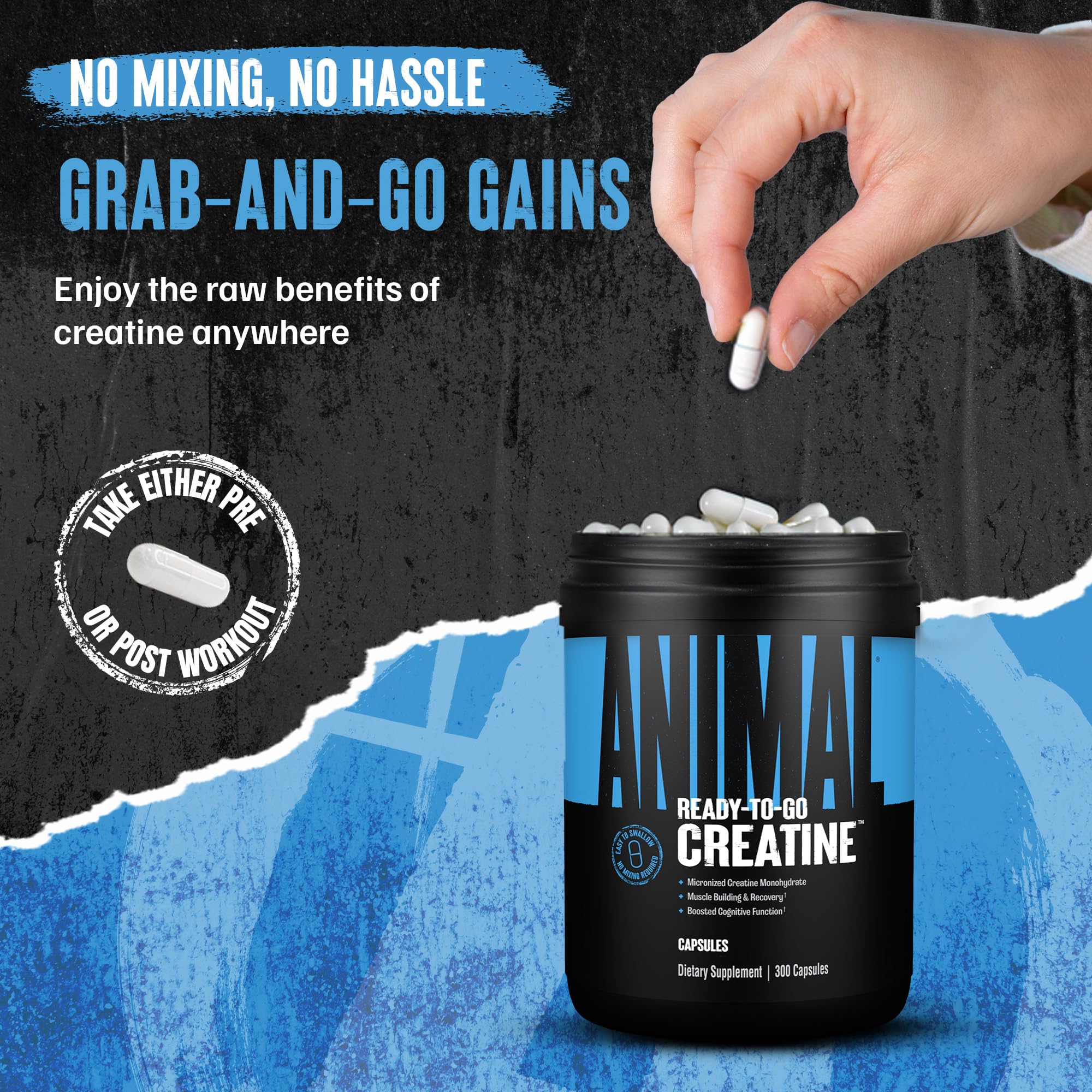 Close-up of Animal Creatine label signals GMP-tested supplement