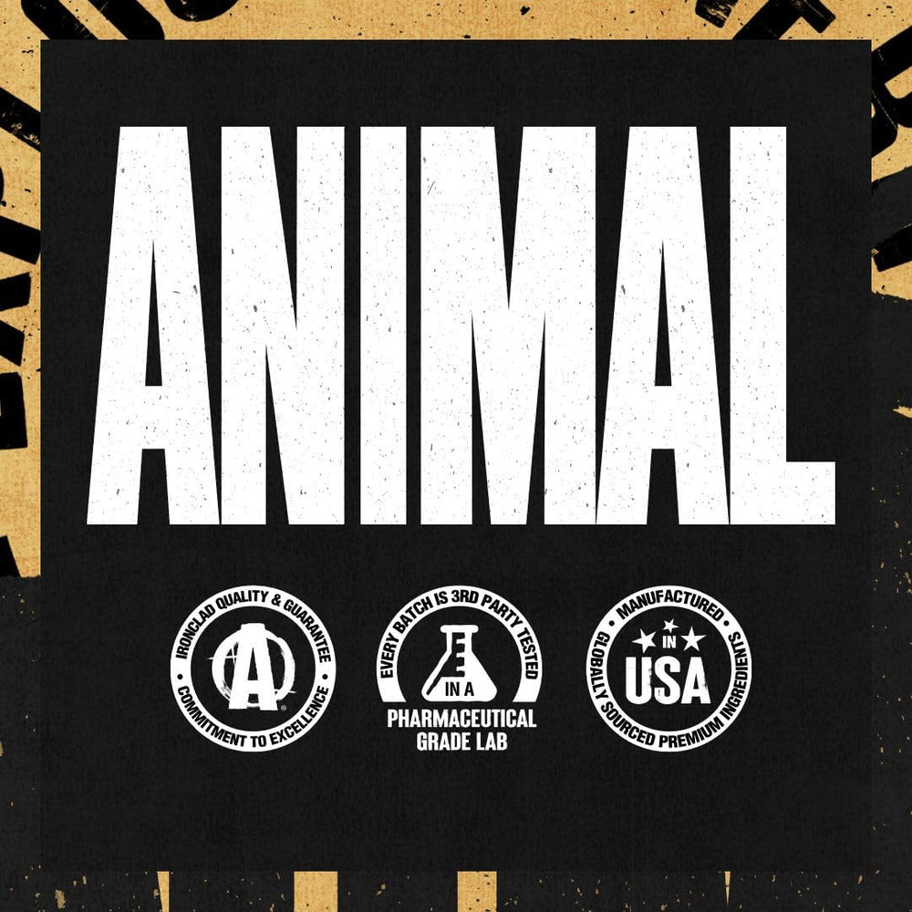 Animal TNT+ daily-use concept image suggests routine energy and endurance support.