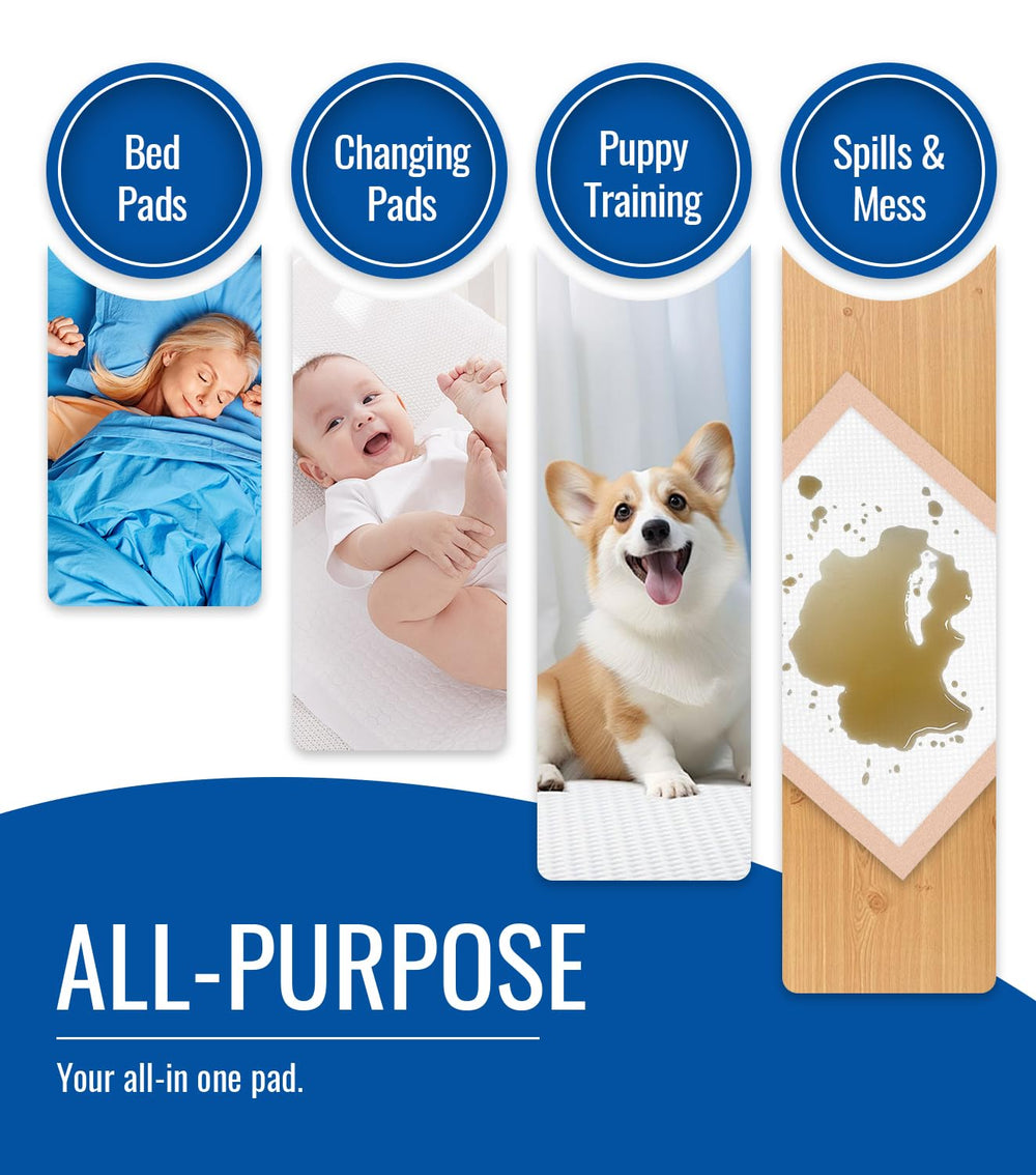 ANKEXIN Ultra-Absorb packaging shows a 50-count box