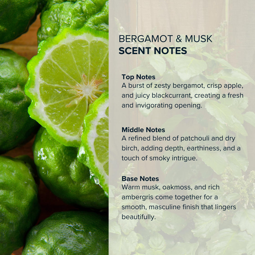 Anthology Bergamot y Almizcle: momento de uso diario, ideal para oficina o citas