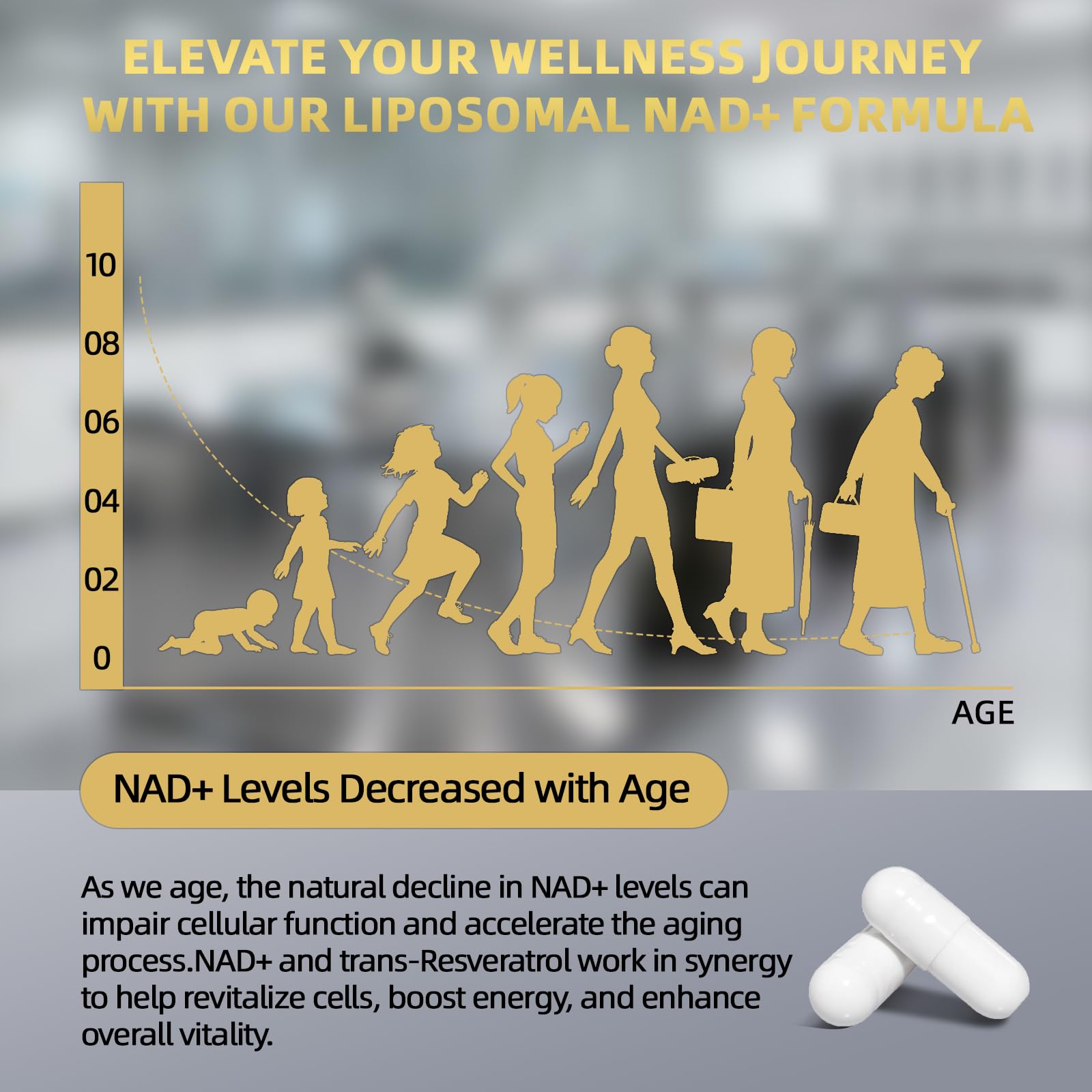 ANTIAGING SUPPORT NAD with resveratrol visual highlighting antioxidant synergy
