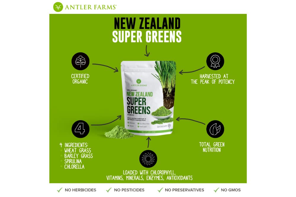 Close-up of wheat grass and barley grass powders for a daily greens ritual