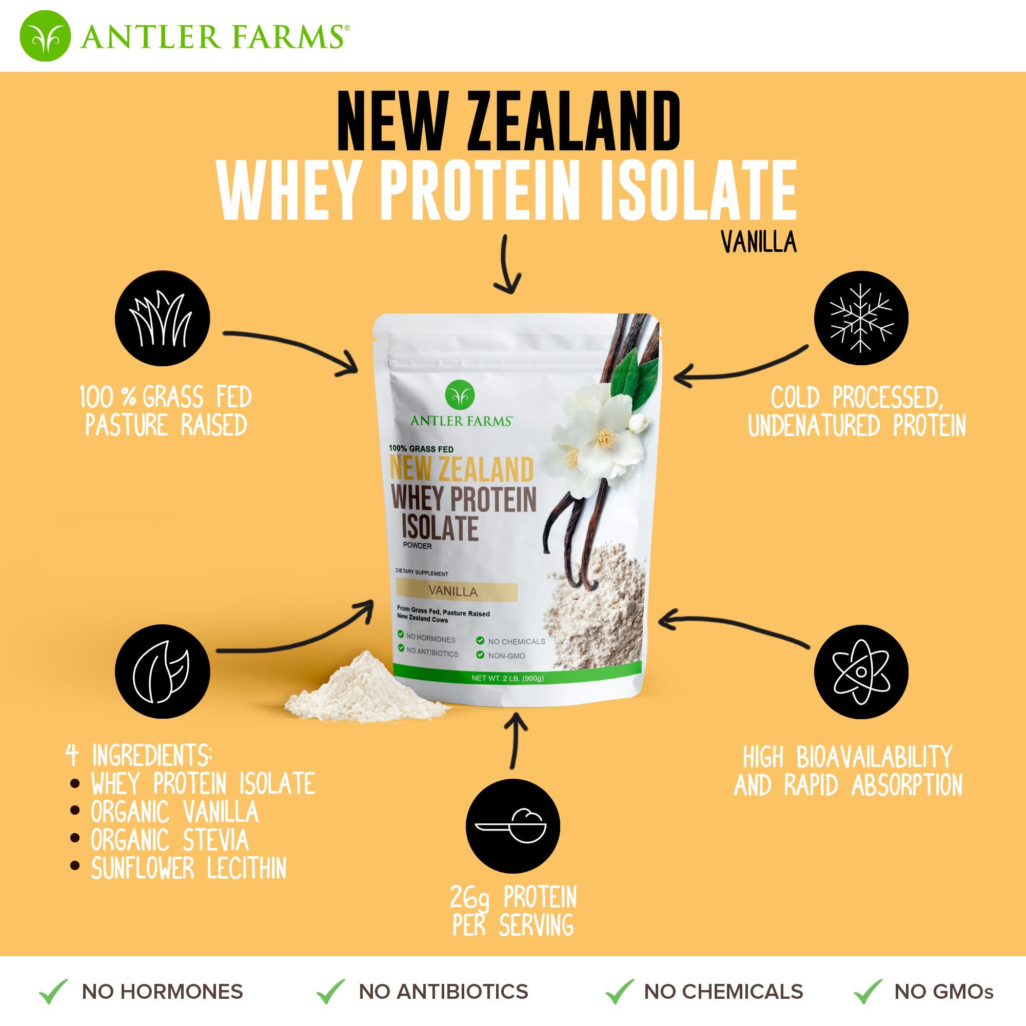 Blender blending vanilla whey protein with milk for a smooth shake.