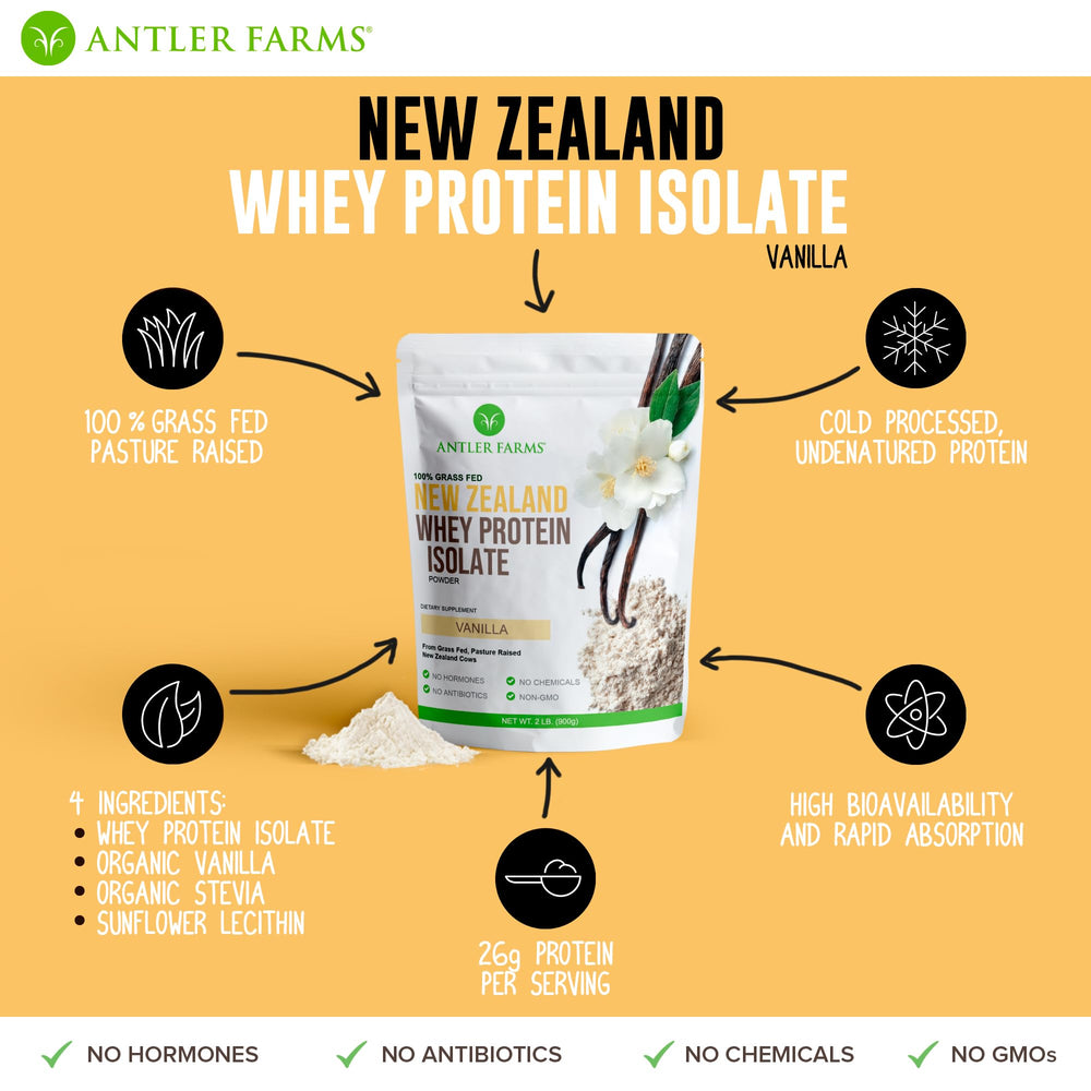 Blender blending vanilla whey protein with milk for a smooth shake.