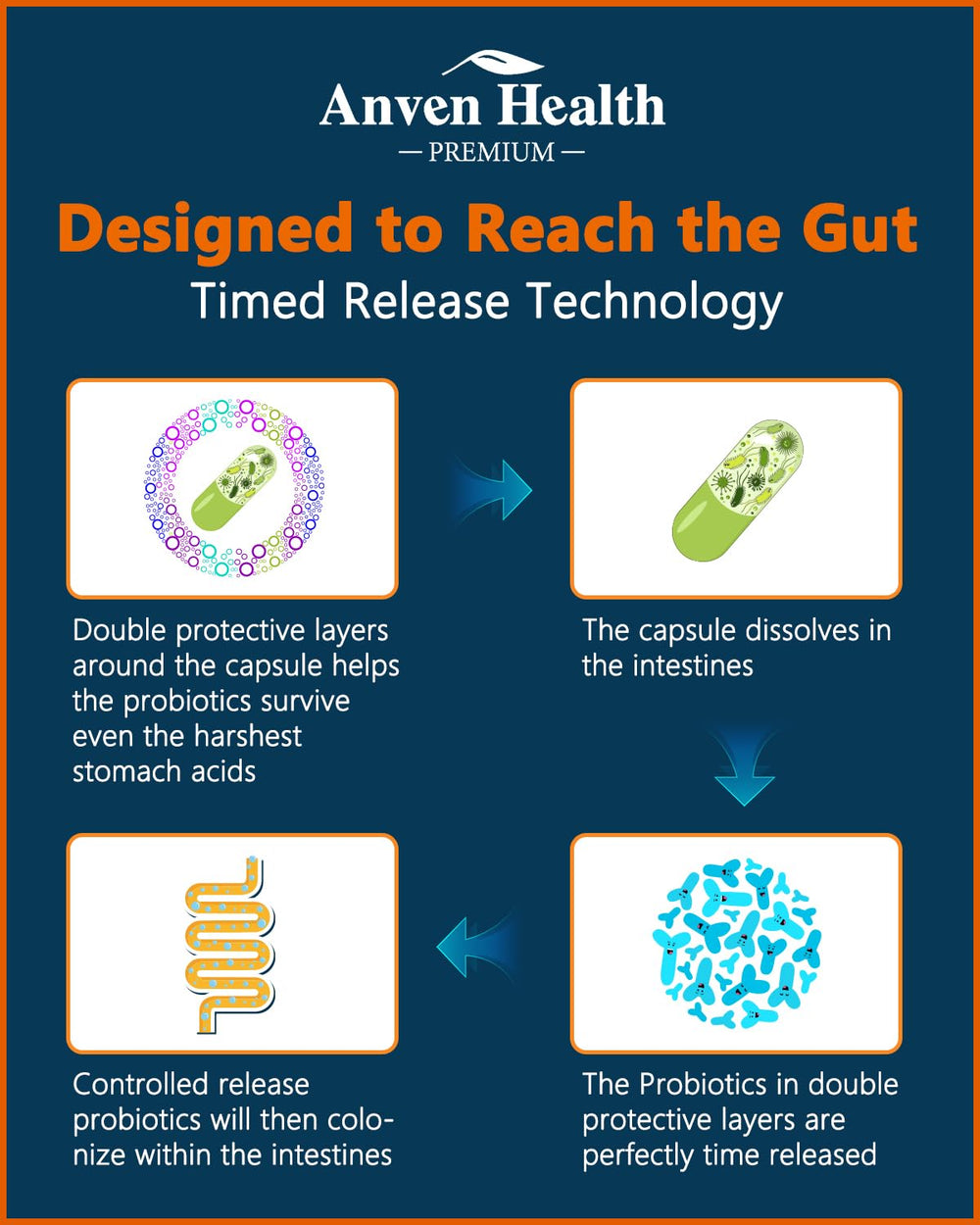 Anven Health bottle in hand illustrating a daily routine for gut health