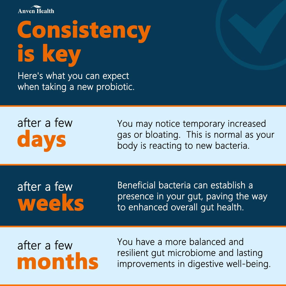 Anven Health Gut Health journey illustration evokes daily routine integration.