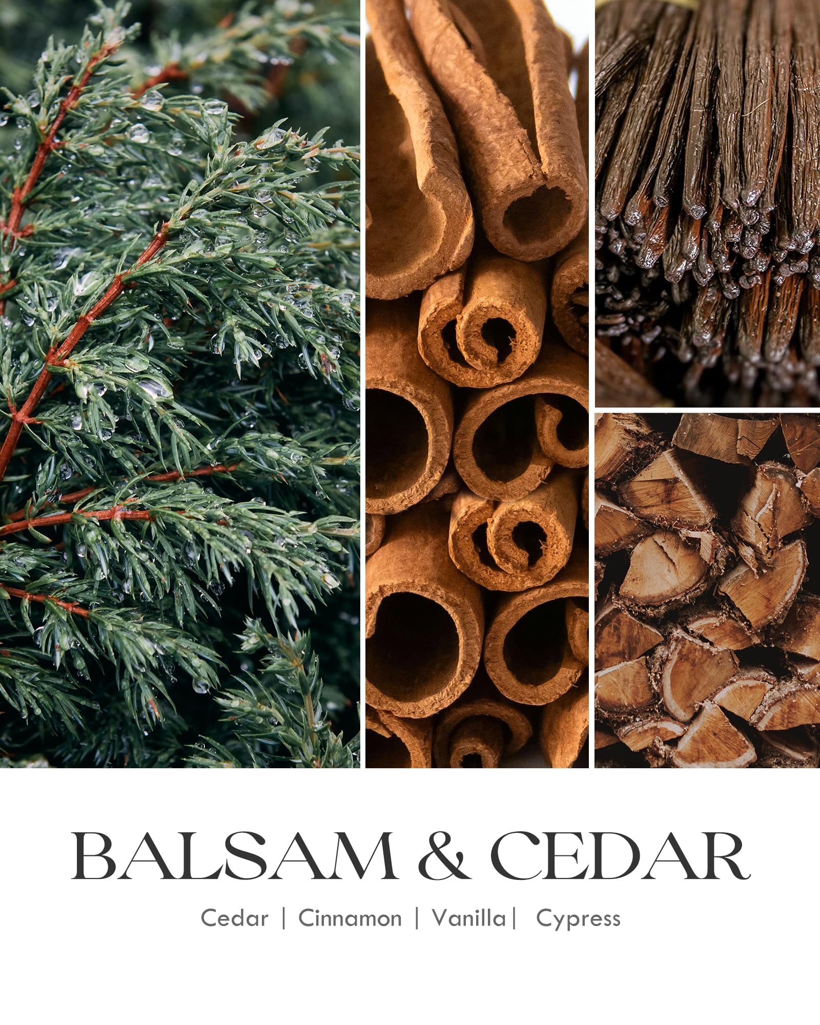 AOOVOO balsam cedar in a stylish living room ambiance