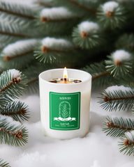 AOOVOO Fresh Fir candle fills space with crisp holiday fragrance