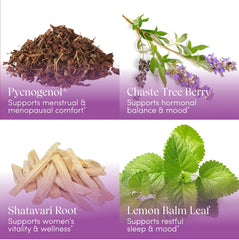 Apothekary Every Phase taste illustration highlights bright citrus notes.