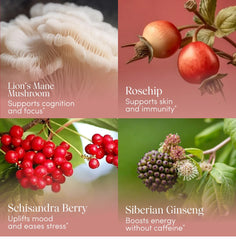 Apothékary Rosé-Tinted Glasses flavor profile with rose, berry, hibiscus notes.