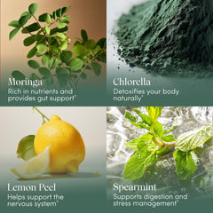 Close-up of Apothékary Your Wildest Greens drops being dispensed into water, convenient daily boost.