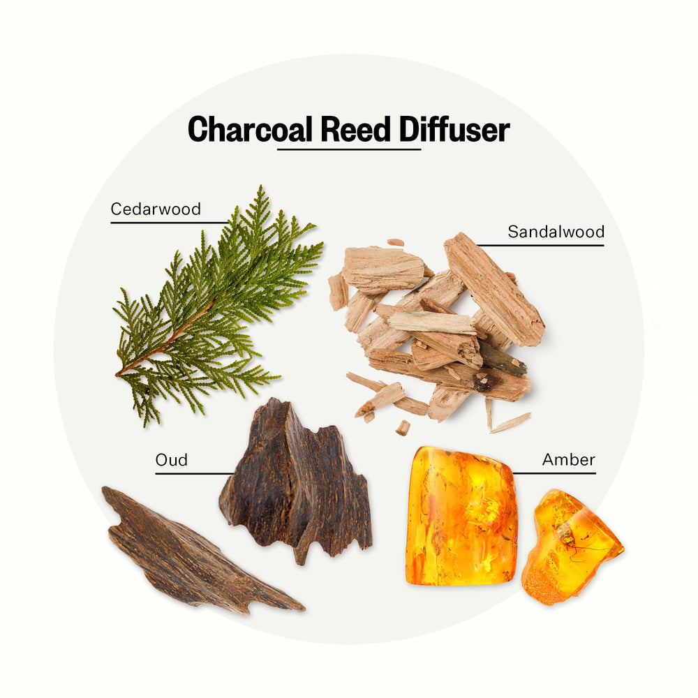 Close-up of APOTHEKE Charcoal diffuser reeds releasing aroma in a room.