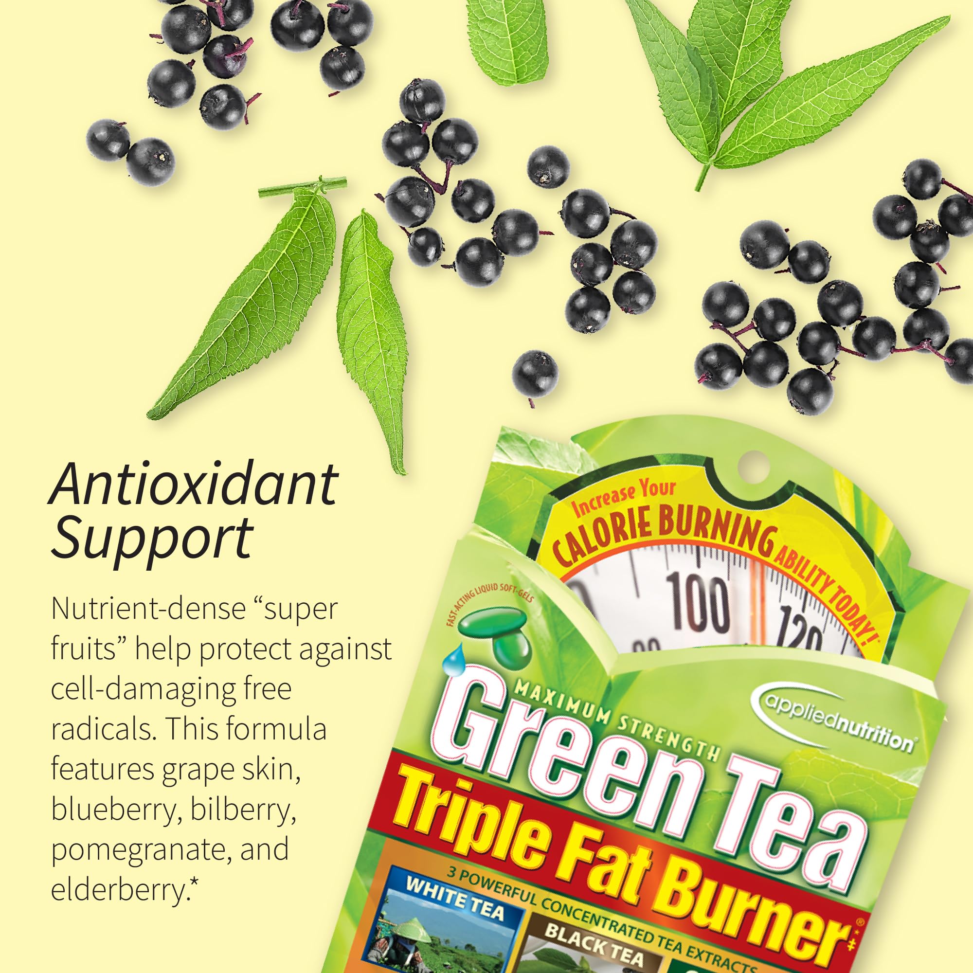 Applied Nutrition Green Tea Fat Burner ingredient panel highlights EGCG and caffeine.