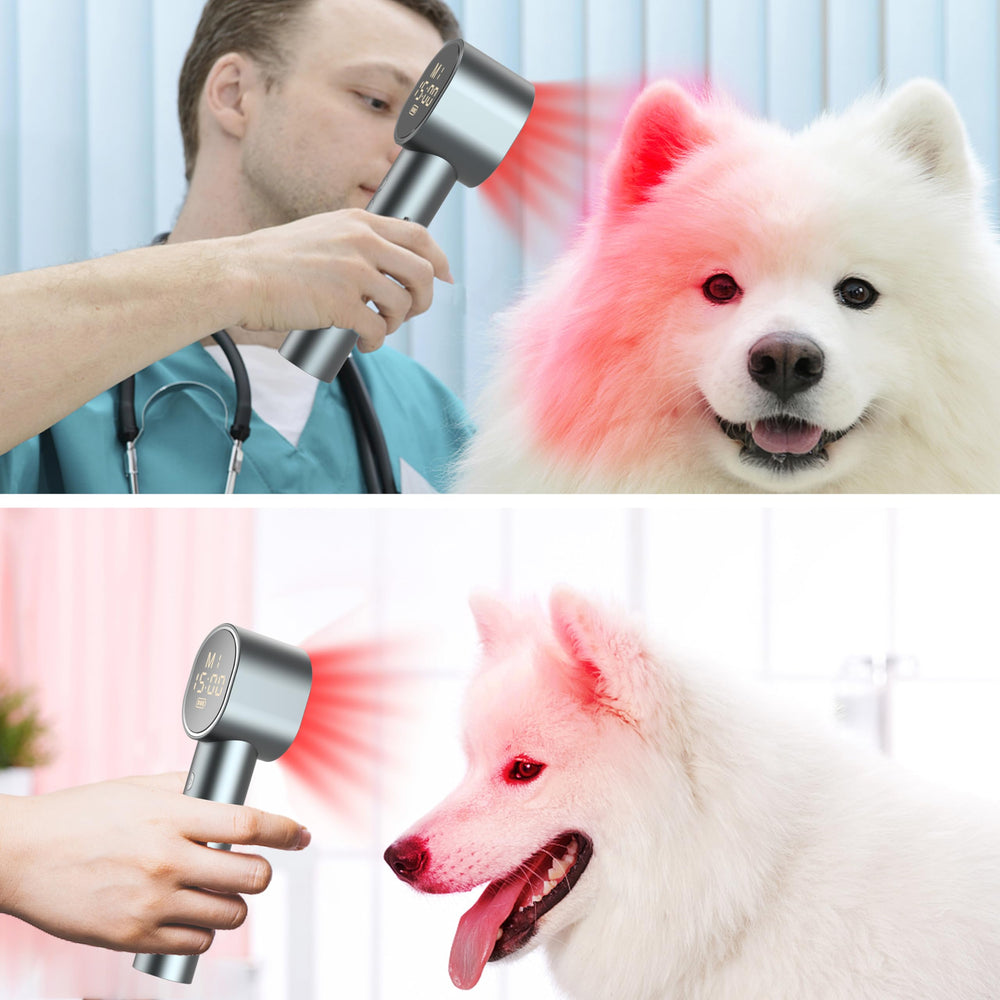 Aptoyu pet-friendly design for dogs and cats with safe handling notes.