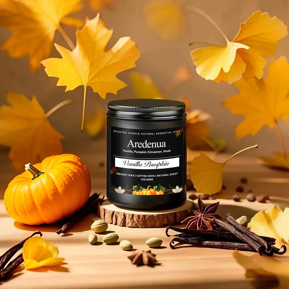 Living room ambiance elevated by Aredenua Vanilla Pumpkin Candle scent.