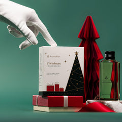 AROMAPLAN Pine Forest bottle pour evoking festive woods and gatherings