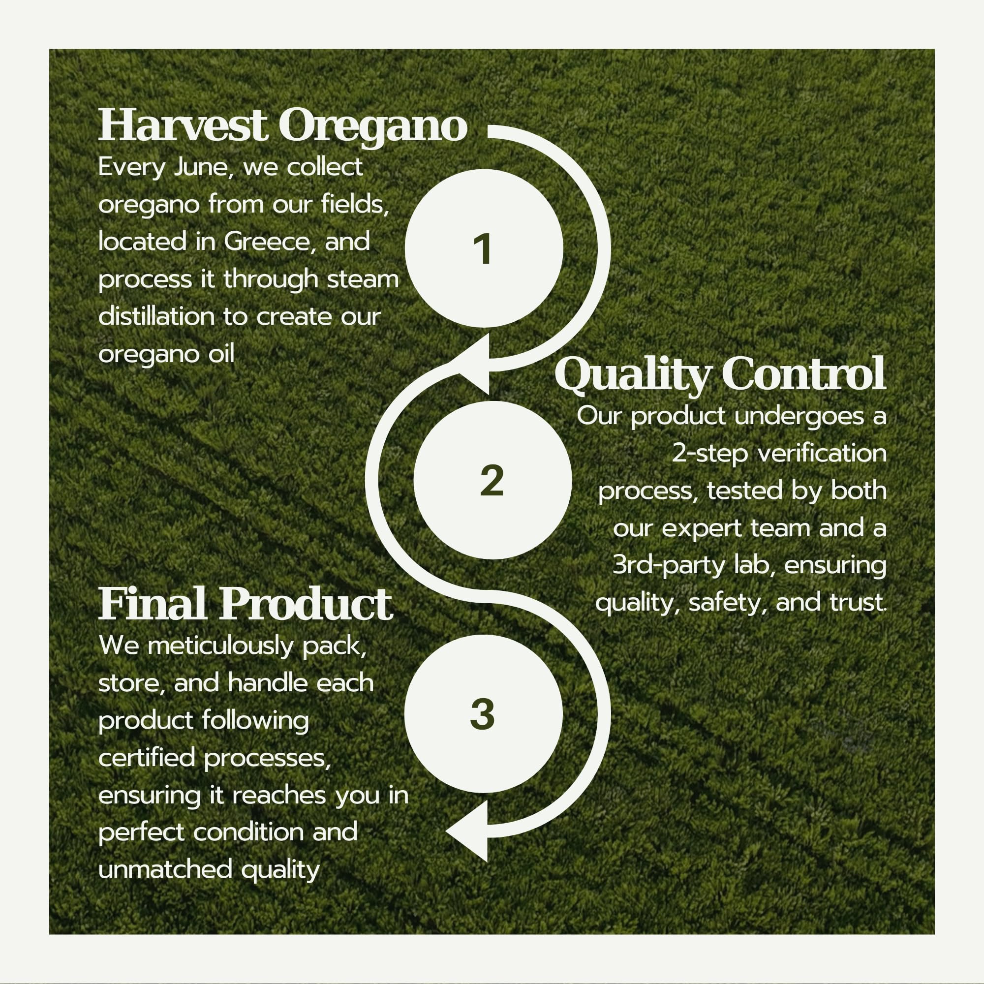 AROMAVITA oregano oil usage scene for skin application or aromatherapy.