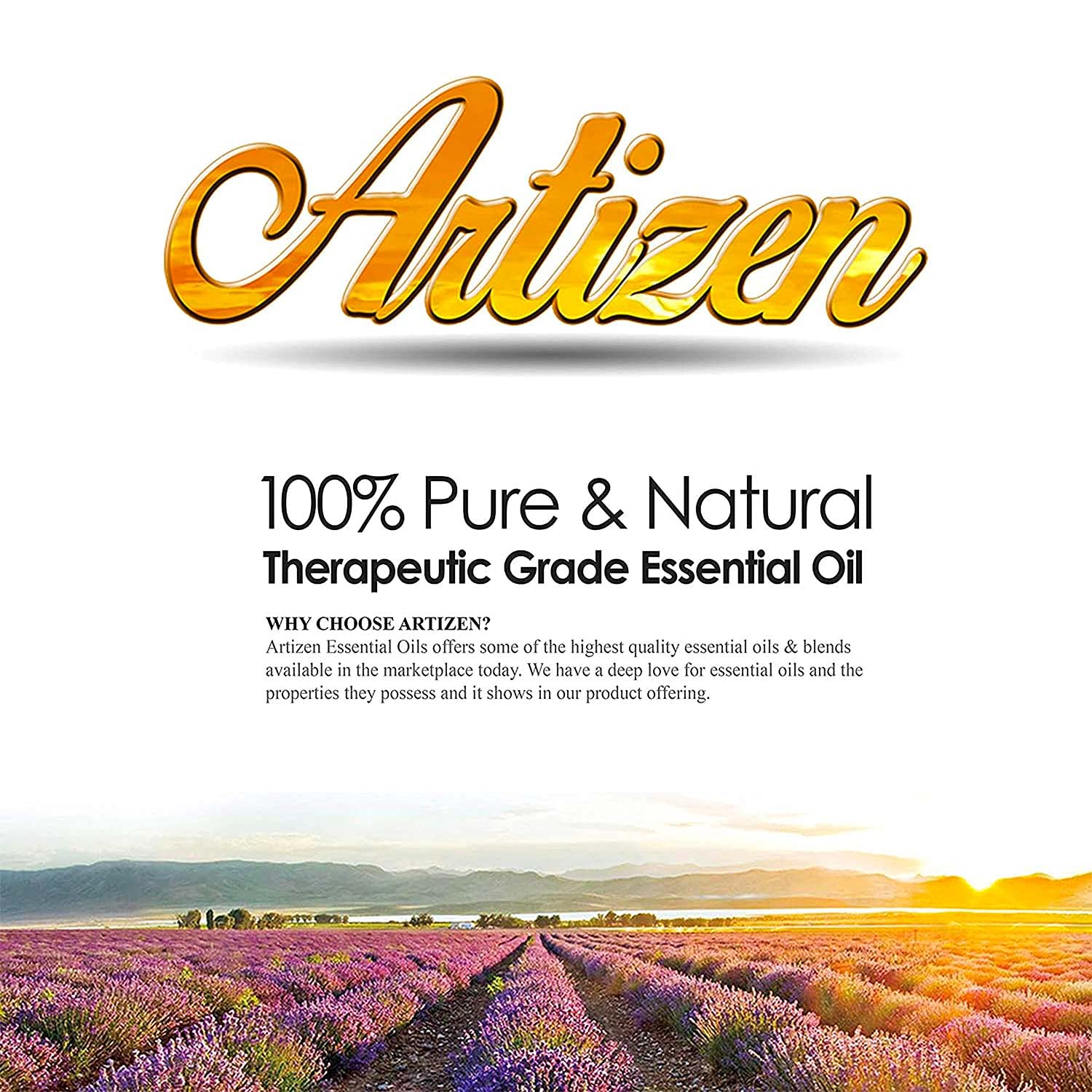 Artizen Birch oil leaf imagery communicates natural, pure ingredients.