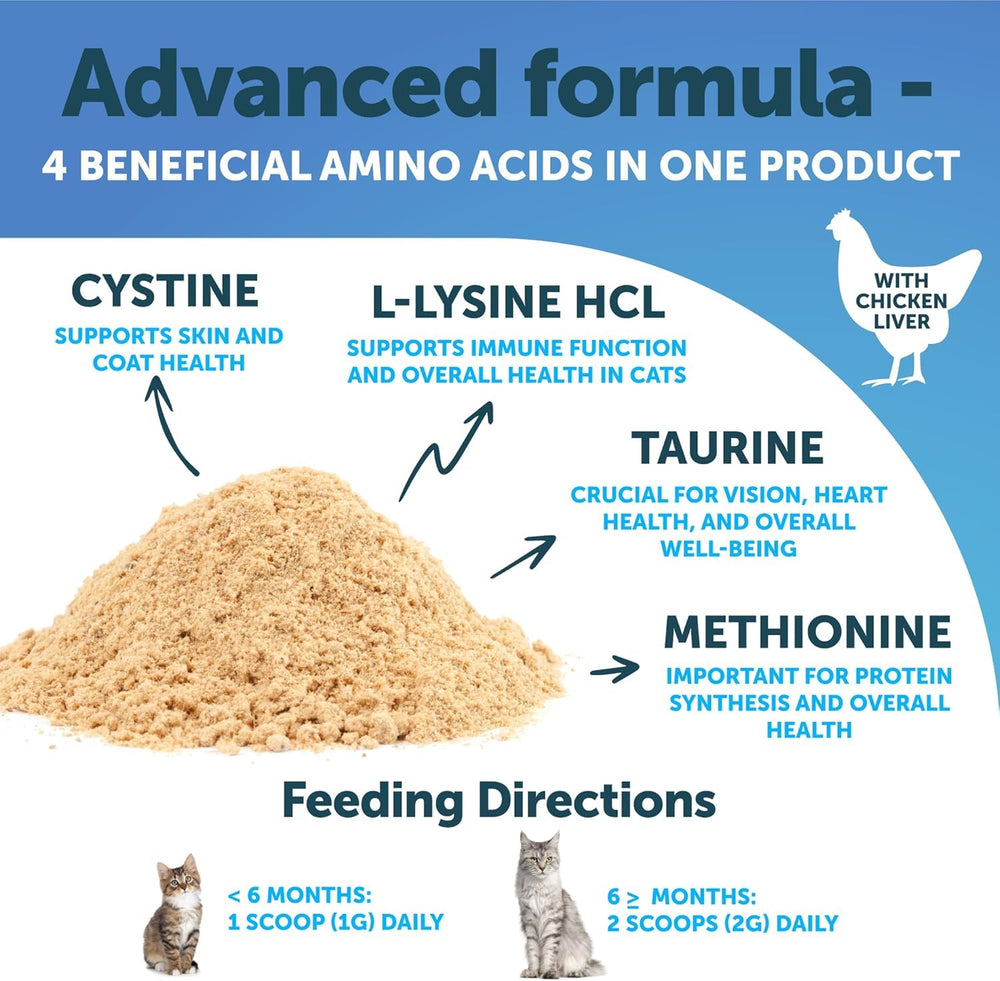 Cat eye health focus with Artullano L-Lysine powder for eye comfort