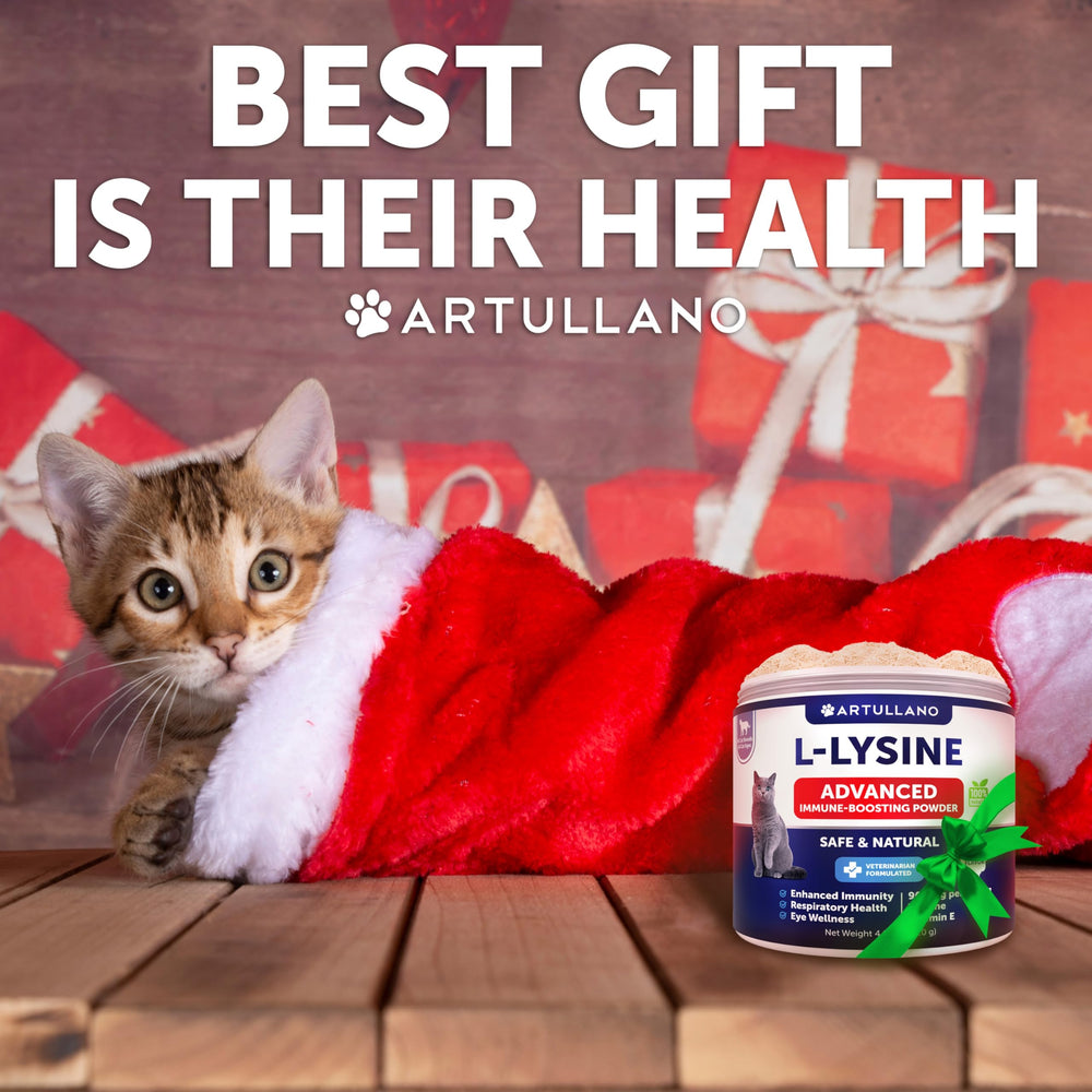 Dosing scoop for Artullano L-Lysine powder facilitates precise measurement for cats