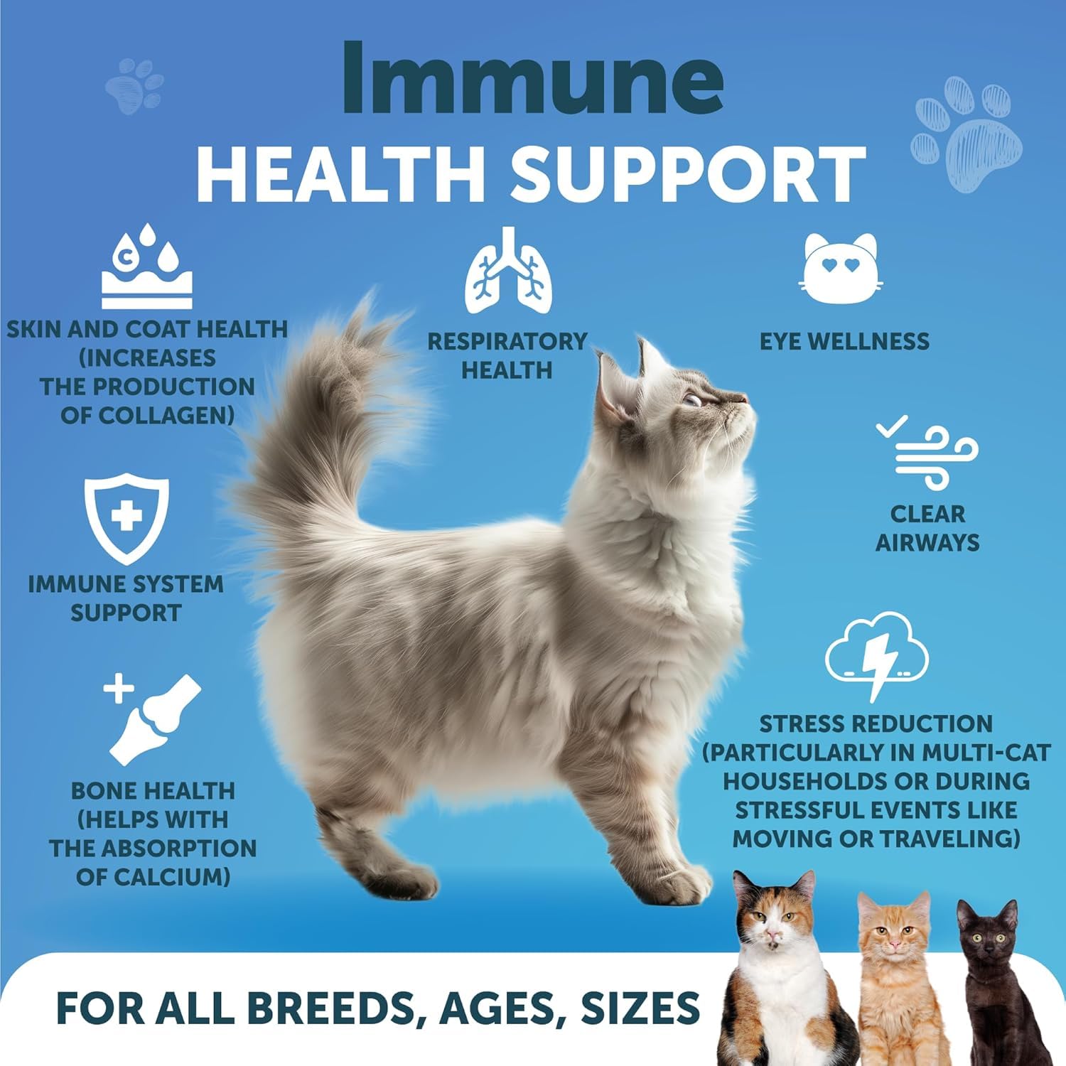 Measuring spoon with Artullano L-Lysine powder for accurate cat dosing