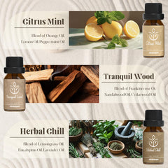 ARVIDSSON Citrus Mint bottle to energize rooms and refresh moods