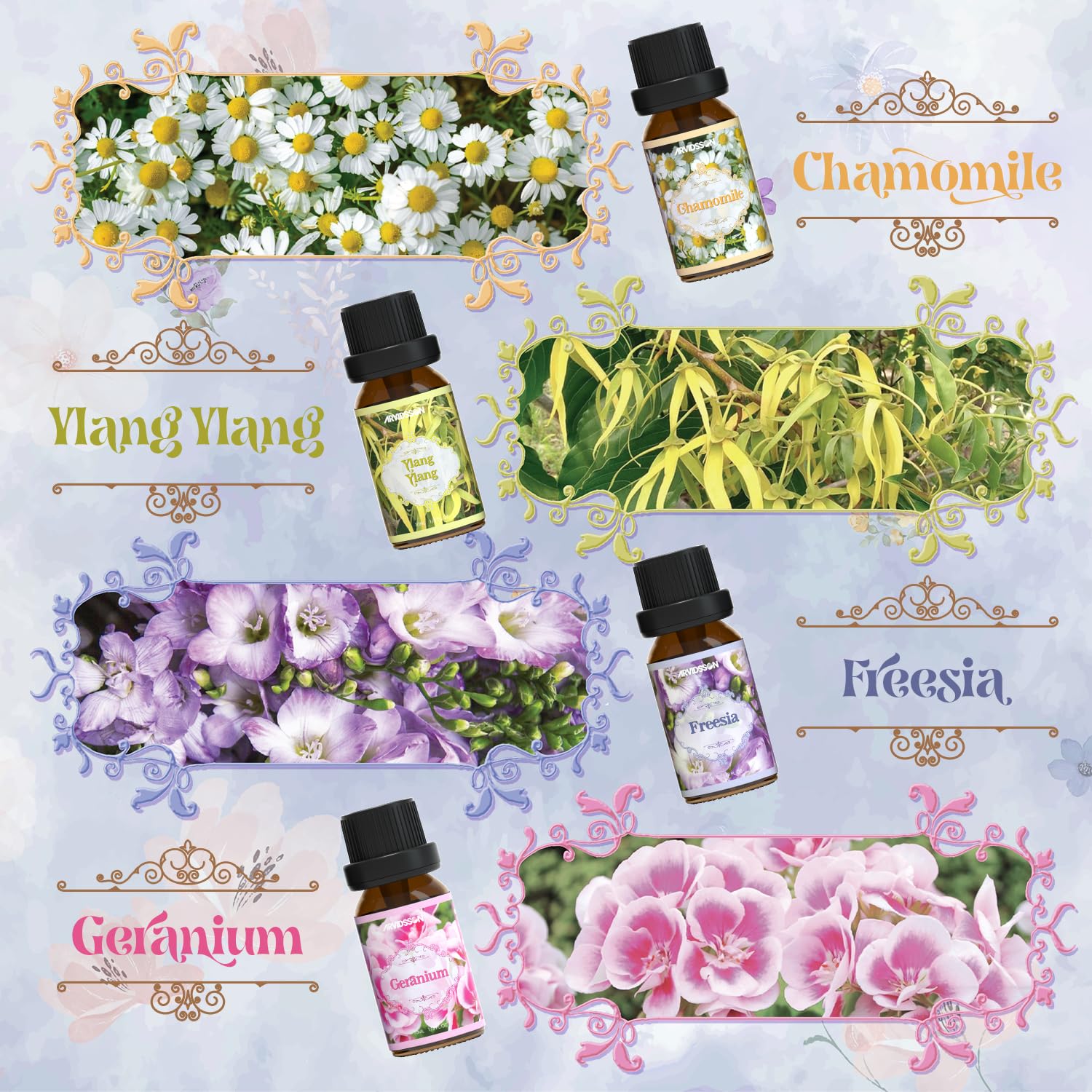 ARVIDSSON rose oil bottle adds romantic fragrance to diffusers and soaps.