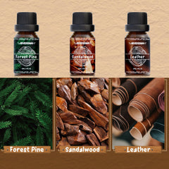 ARVIDSSON Woody Oils teakwood bottle enhances diffuser blends and home fragrance.