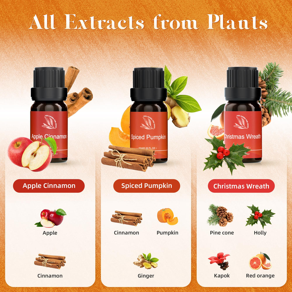 ASAKUKI Sparkling Cinnamon bottle 10ml for warm, spicy diffuser notes and cozy spaces.