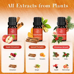 ASAKUKI Sparkling Cinnamon bottle 10ml for warm, spicy diffuser notes and cozy spaces.