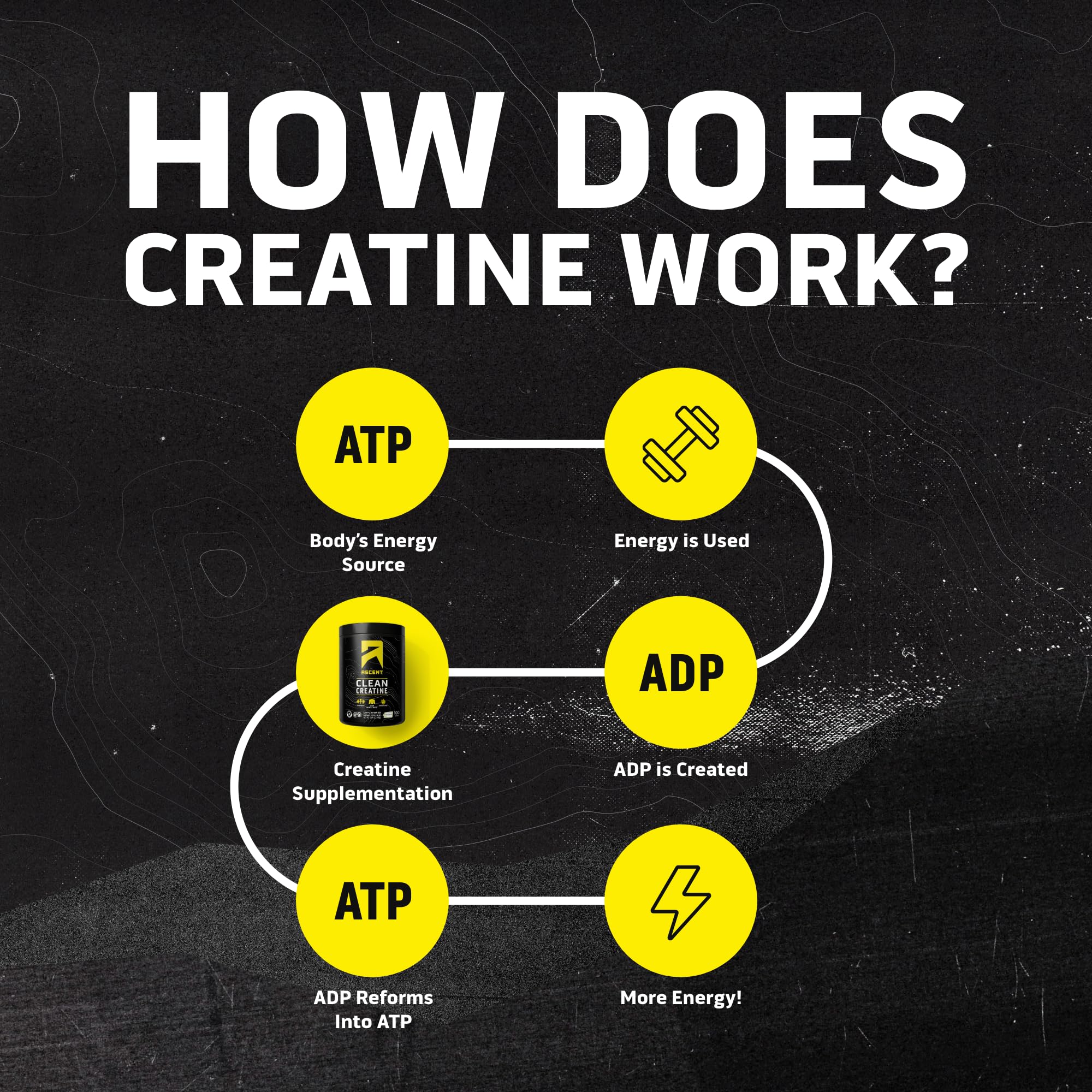 Ascent Clean Creatine dissolves clearly in water for convenient daily use.