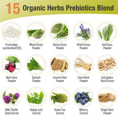 Ascuoli Probiotics 24 strains illustration signals diverse gut microbiome benefits.