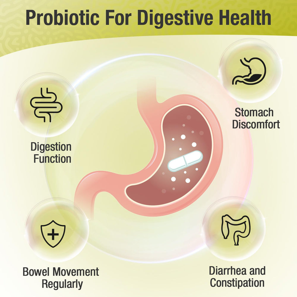 Ascuoli Probiotics delayed-release concept emphasizes targeted intestinal delivery.