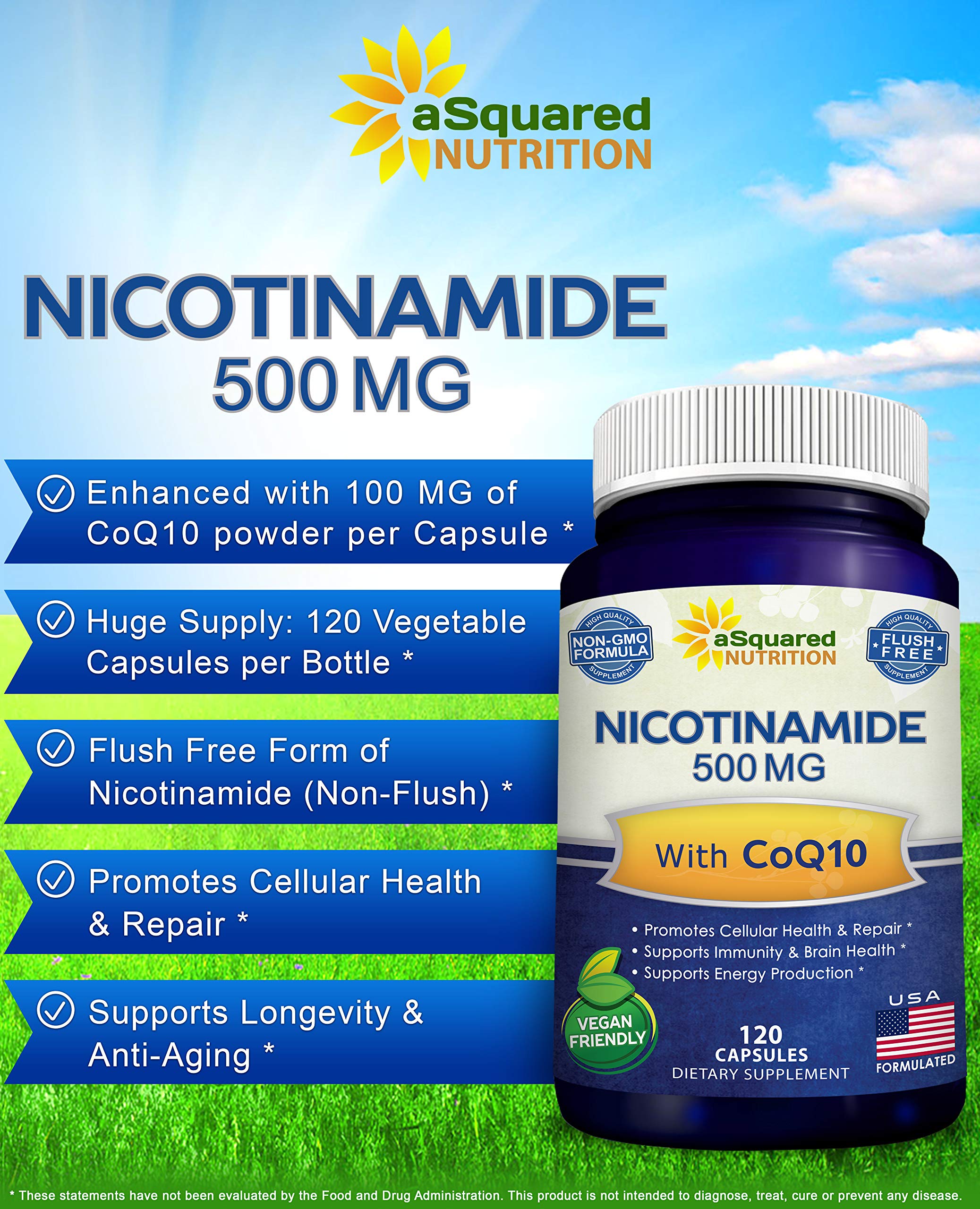 aSquared Nicotinamide with CoQ10 powder dispersion demonstrates integration.