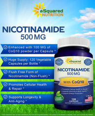 aSquared Nicotinamide with CoQ10 powder dispersion demonstrates integration.