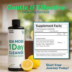 Atlantic Naturals sea moss ingredients bottle highlights Aloe Vera and Ginger for immune support.