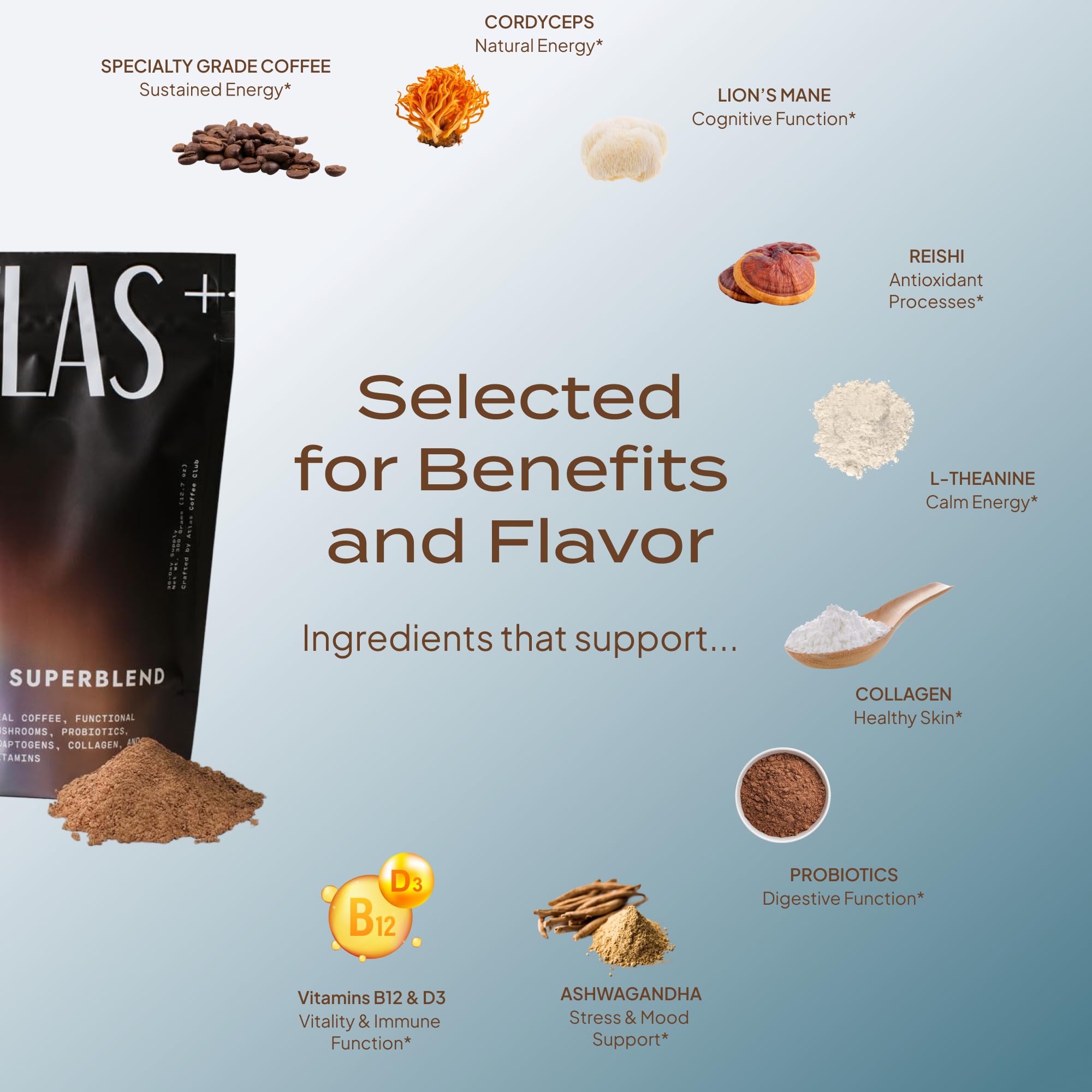 Close-up of mushroom blend ingredients like Lion’s Mane and Reishi.