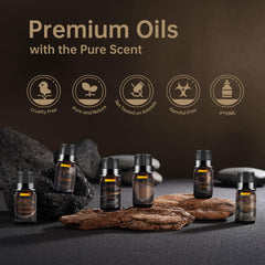 Auelife Oak oil bottle with crisp, uplifting scent for diffusers.