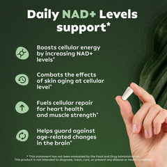Auivty liposomal delivery technology graph illustrates improved absorption