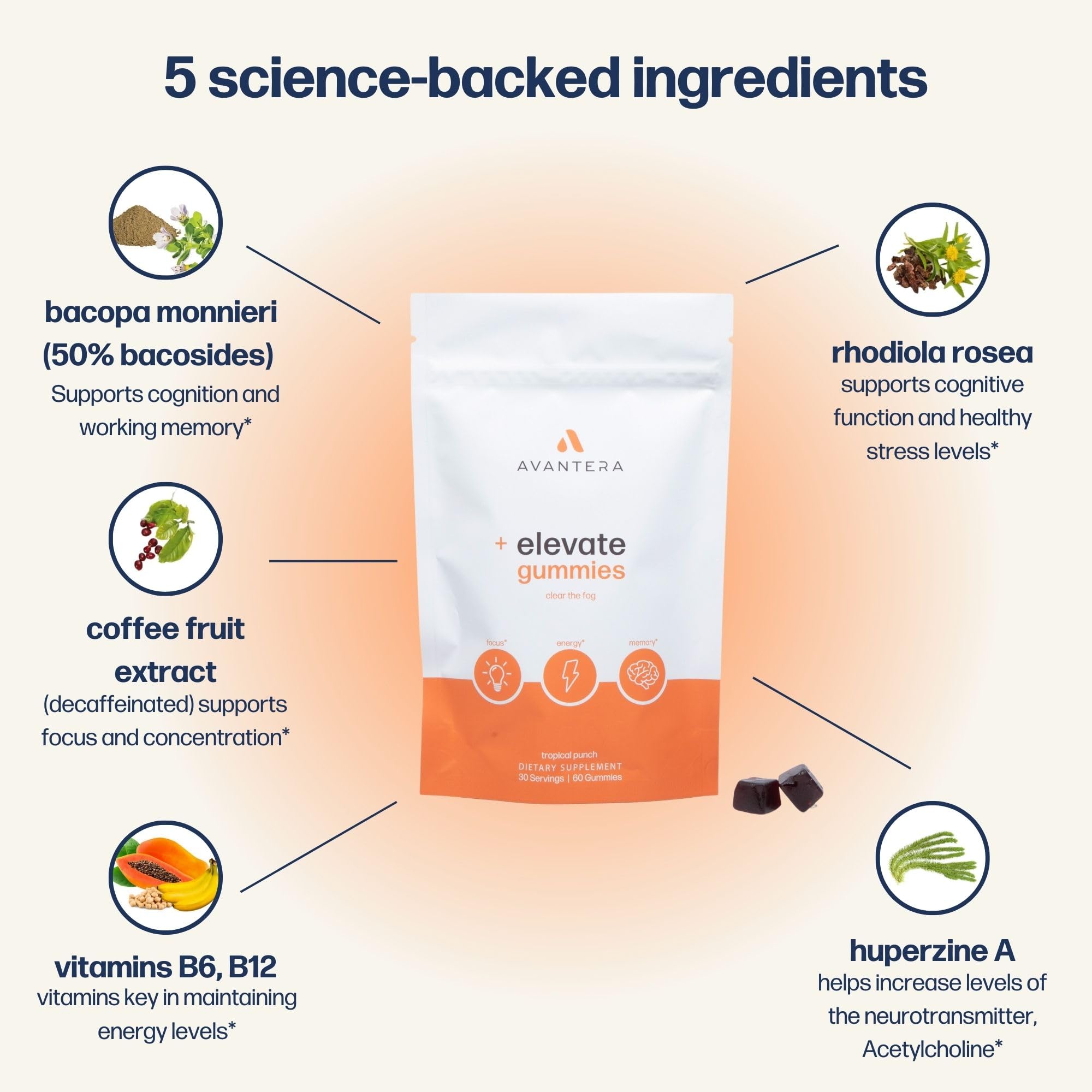 Avantera Elevate Gummies labeled decaffeinated and sugar-free for anytime use