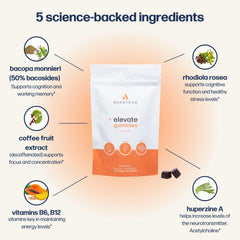 Avantera Elevate Gummies labeled decaffeinated and sugar-free for anytime use