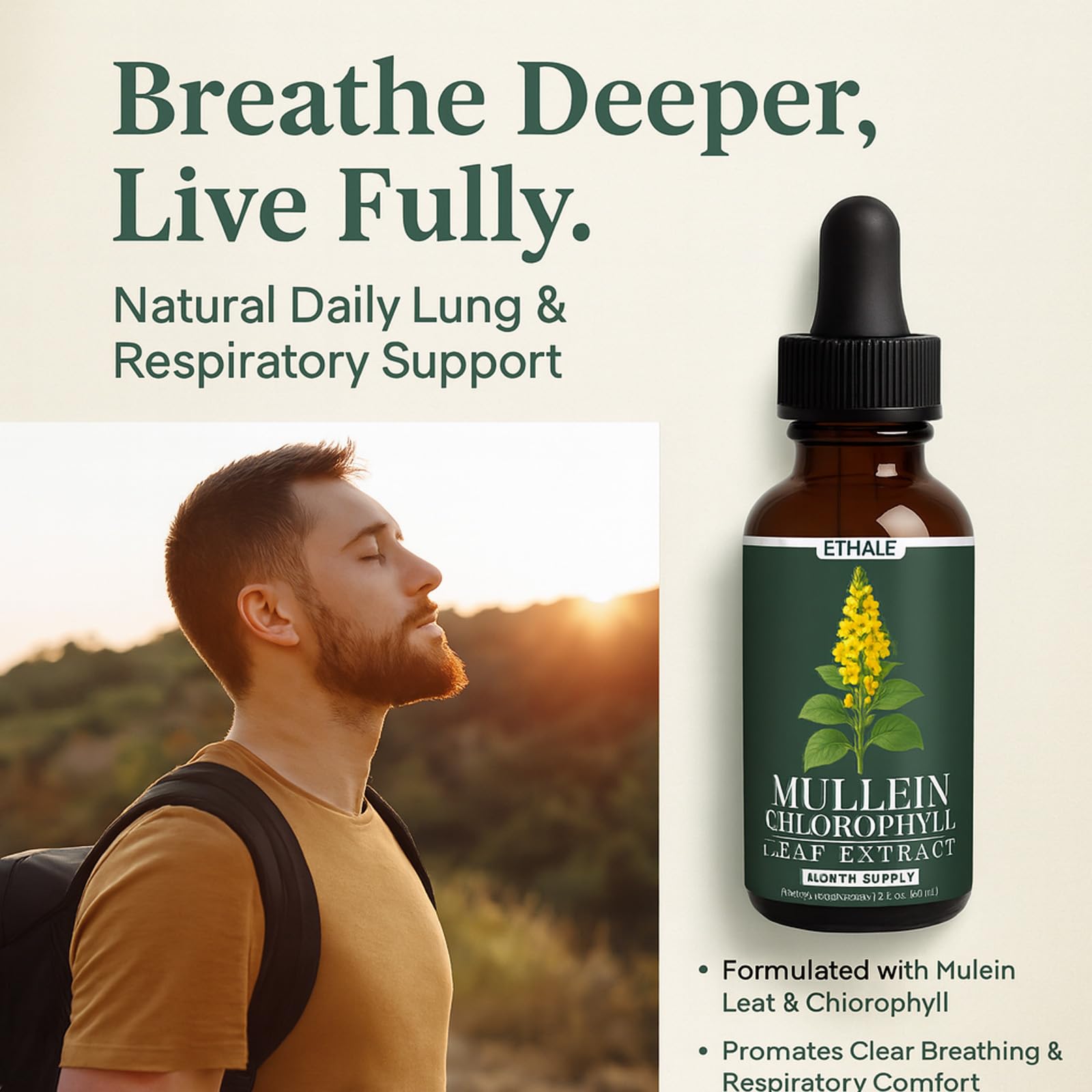 Awtse ETHALE Mullein Drops cleansing concept suggests gentle daily balance.
