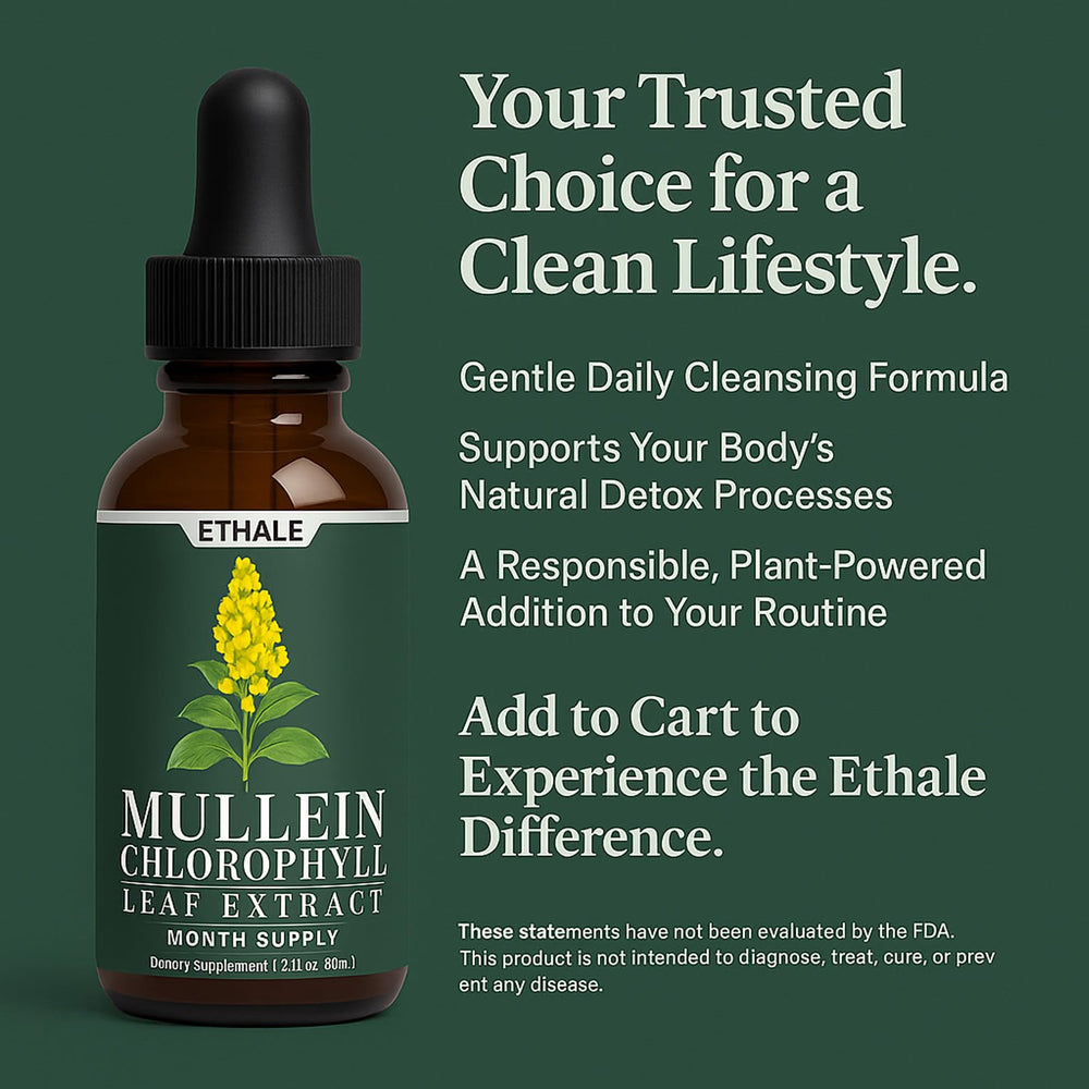 Awtse ETHALE Mullein Drops daily-use setup with dropper enables simple dosing.