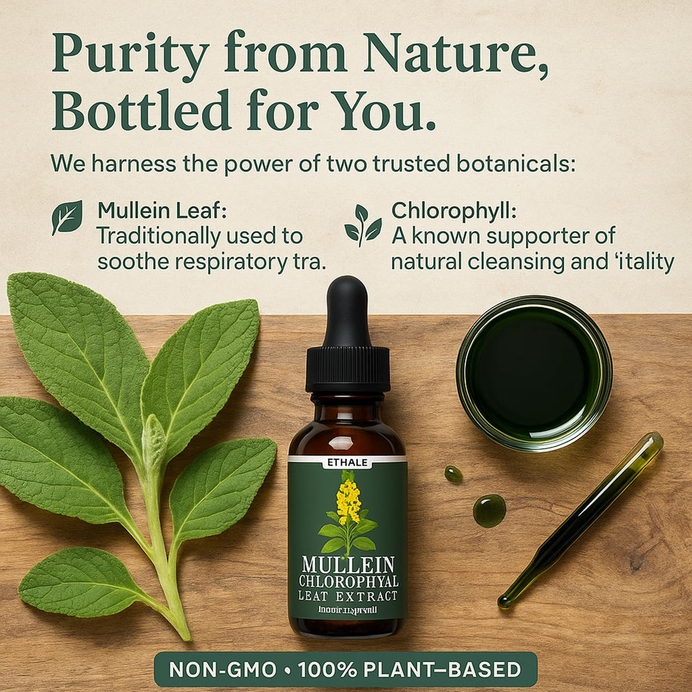 Awtse ETHALE Mullein Drops pour demonstrates quick absorption for easy daily use.