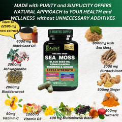AyBet sea moss capsules close-up highlighting a plant-based nutrient source.