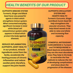AyBet World BioPerine added for higher turmeric absorption.