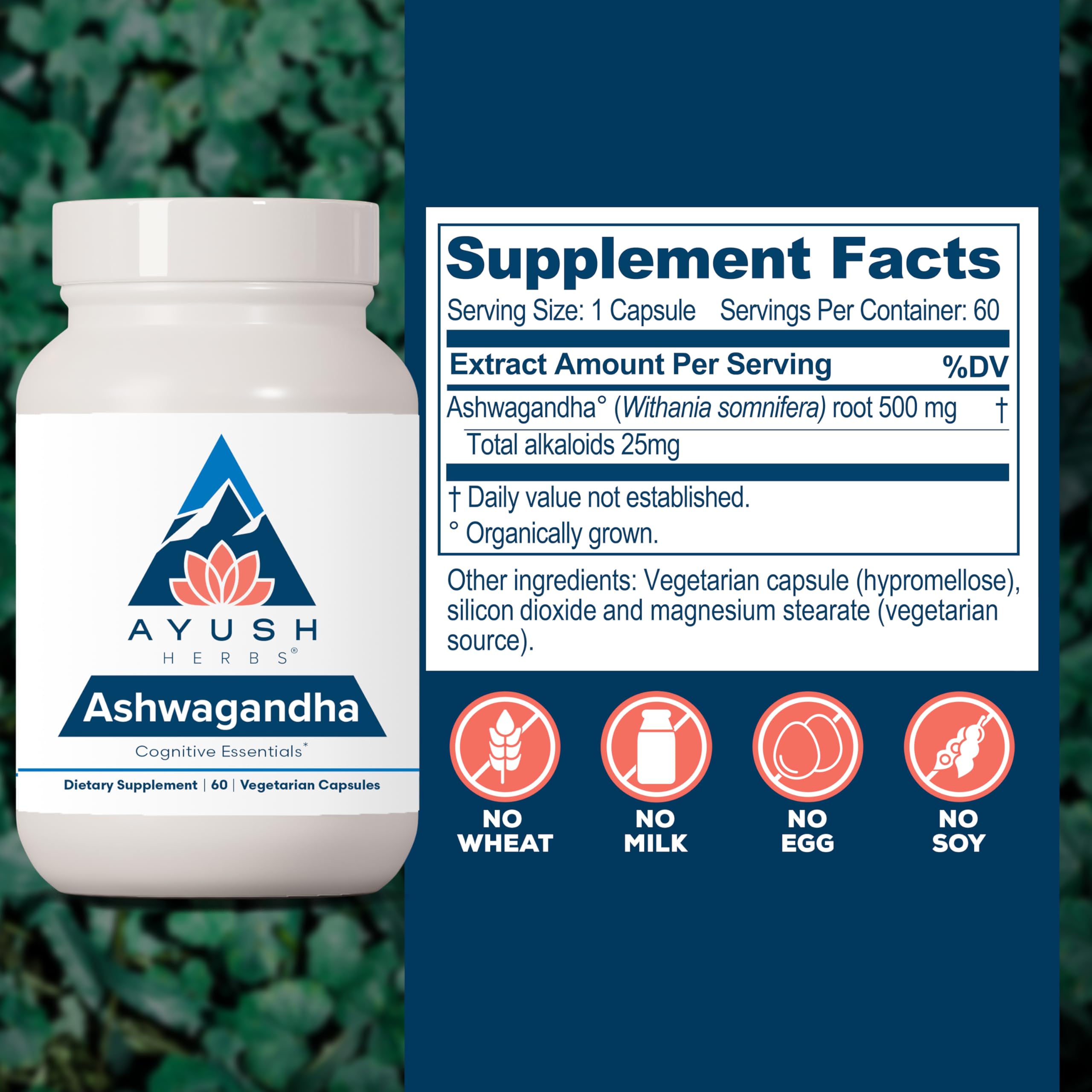 Ayush Herbs Ashwagandha capsules pouring to show capsule texture